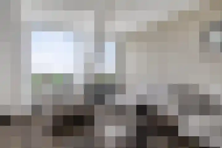 Paardenhoeve 100 Houten thumbnail 11