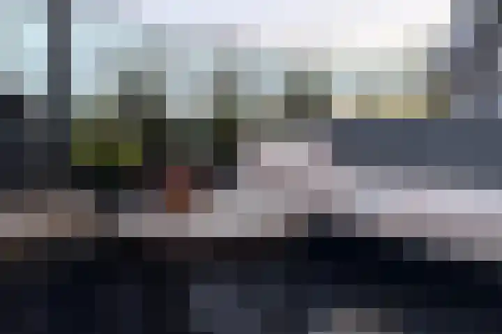 Paardenhoeve 100 Houten thumbnail 13