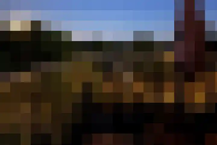 Paardenhoeve 100 Houten thumbnail 14