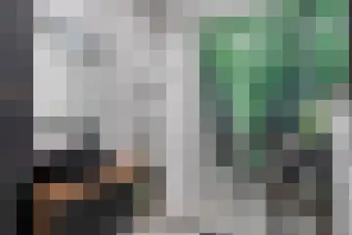 Paardenhoeve 100 Houten thumbnail 16
