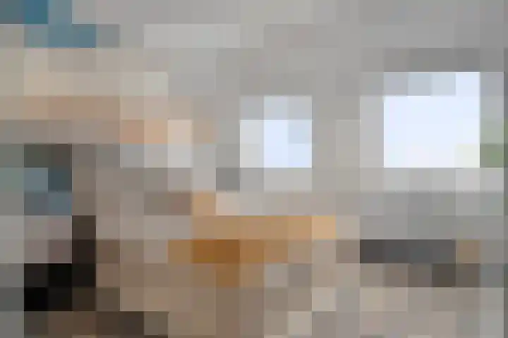 Paardenhoeve 100 Houten thumbnail 18