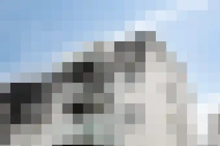 Paardenhoeve 100 Houten thumbnail 24