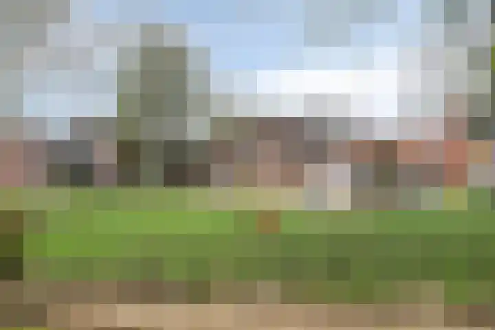 Paardenhoeve 100 Houten thumbnail 25
