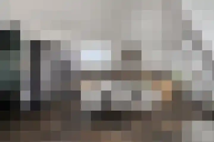 Paardenhoeve 100 Houten thumbnail 4