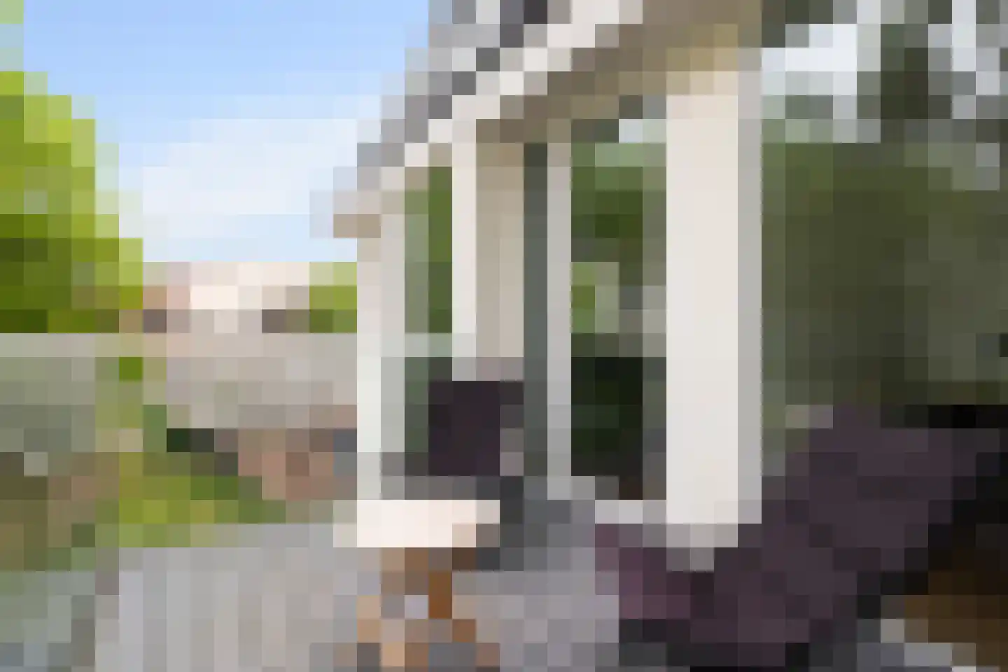 Paardenhoeve 94 Houten thumbnail 19