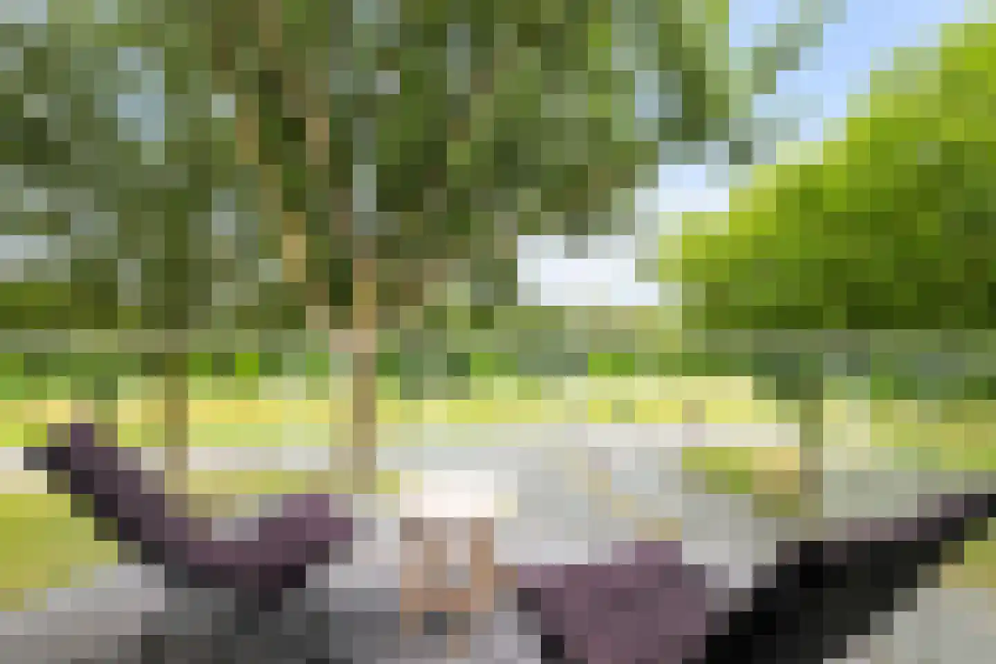 Paardenhoeve 94 Houten thumbnail 20