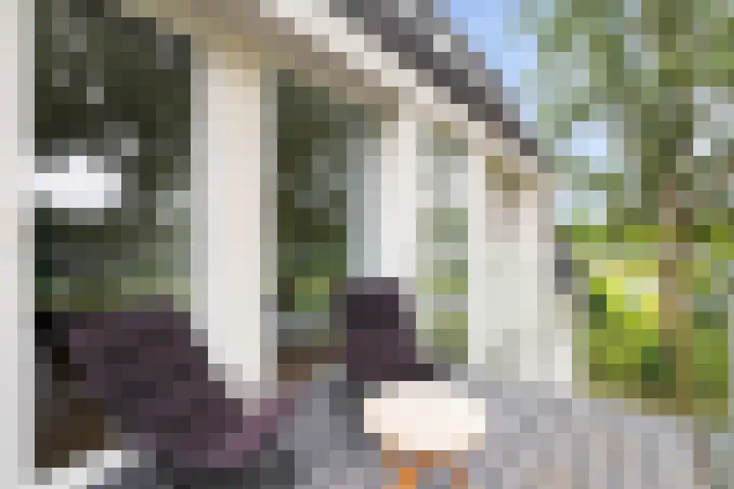Paardenhoeve 94 Houten thumbnail 21