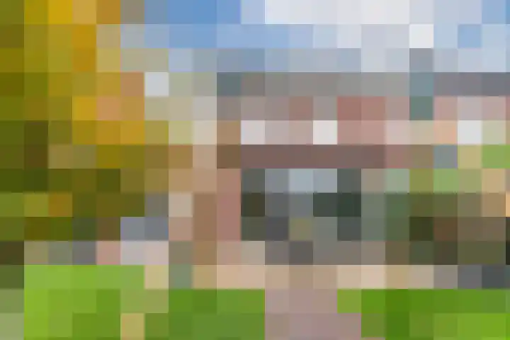 Paardenkamp 56 Bunschoten-Spakenburg thumbnail 41