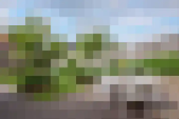 Paardenkamp 62 Bunschoten-Spakenburg thumbnail 40