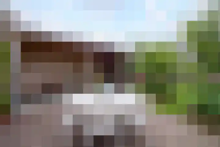 Paardenkamp 62 Bunschoten-Spakenburg thumbnail 42