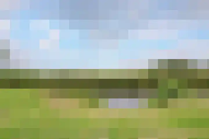 Paardenkamp 62 Bunschoten-Spakenburg thumbnail 49