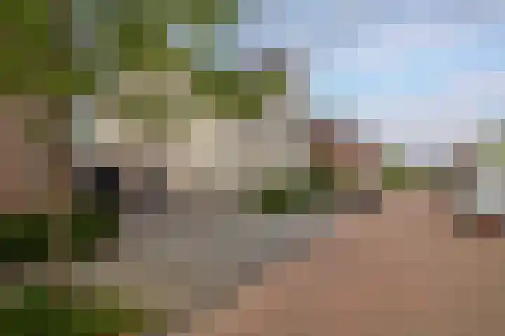 Paardenkamp 62 Bunschoten-Spakenburg thumbnail 50