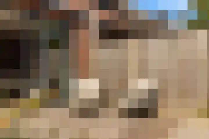 Paardenkamplaan 17 Uitgeest thumbnail 25