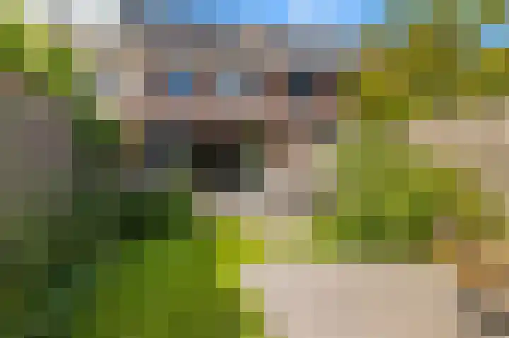 Paardenkamplaan 17 Uitgeest thumbnail 26