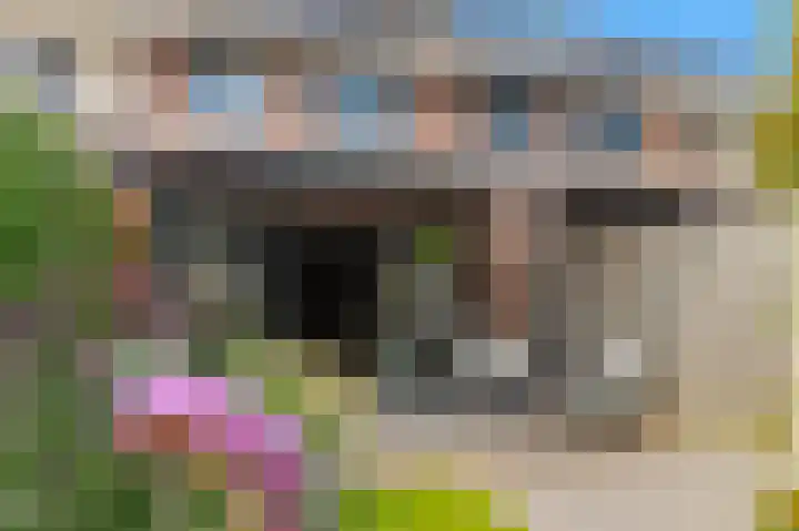 Paardenkamplaan 17 Uitgeest thumbnail 28