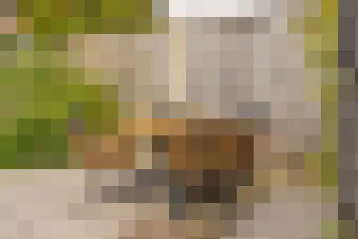 Paardenkamplaan 17 Uitgeest thumbnail 30