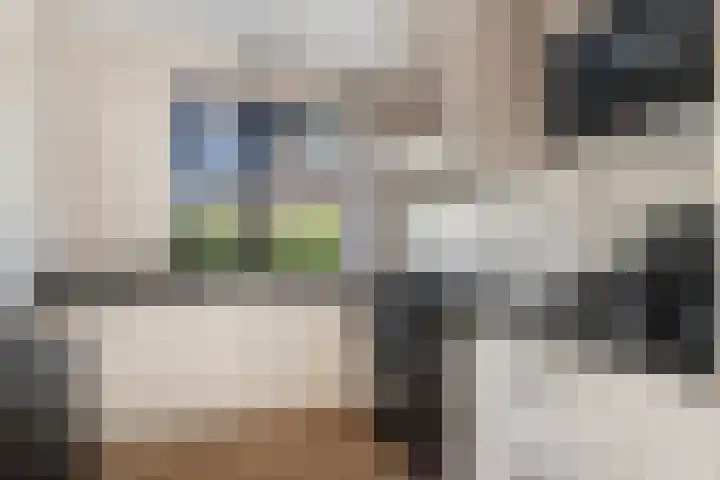 Paardenkamplaan 17 Uitgeest thumbnail 7