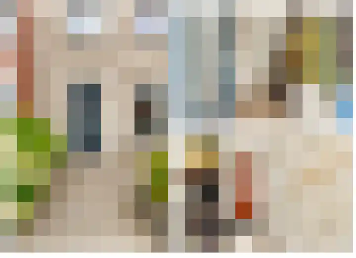 Paardenkamplaan 9 Uitgeest thumbnail 10