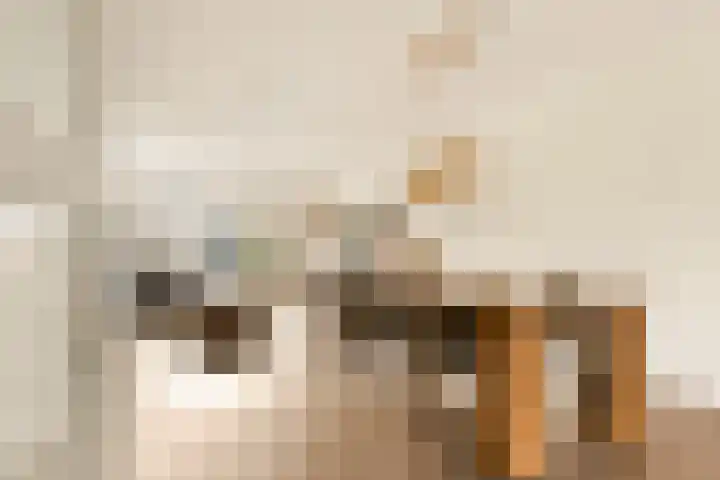 Paardenkamplaan 9 Uitgeest thumbnail 13