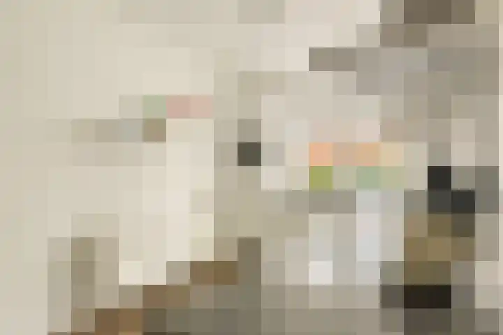 Paardenkamplaan 9 Uitgeest thumbnail 16