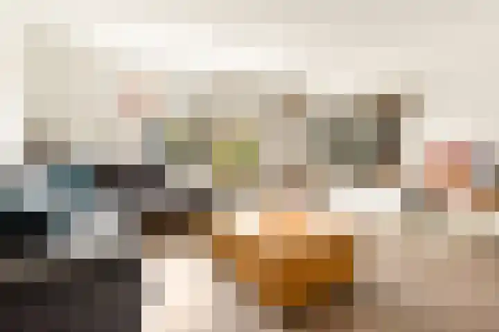 Paardenkamplaan 9 Uitgeest thumbnail 19