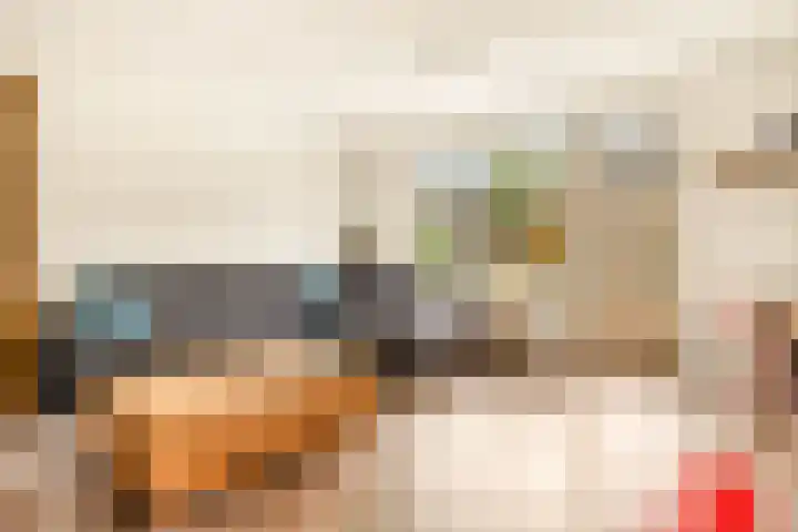 Paardenkamplaan 9 Uitgeest thumbnail 20