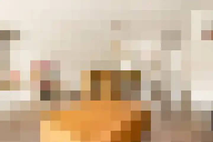 Paardenkamplaan 9 Uitgeest thumbnail 22