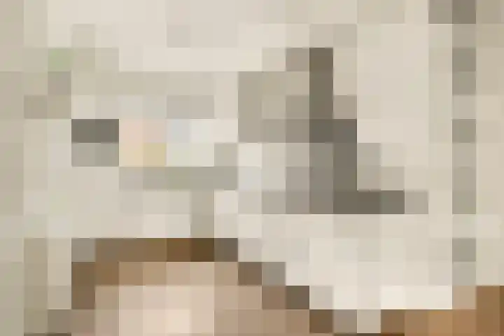 Paardenkamplaan 9 Uitgeest foto 3