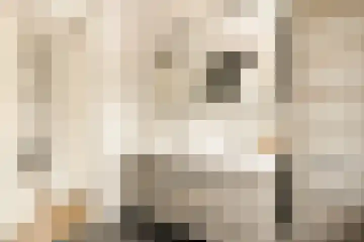 Paardenkamplaan 9 Uitgeest thumbnail 31