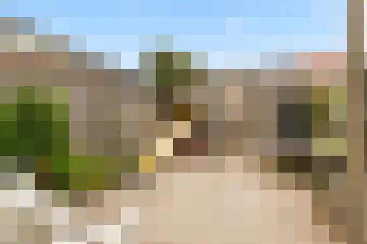 Paardenkamplaan 9 Uitgeest thumbnail 37