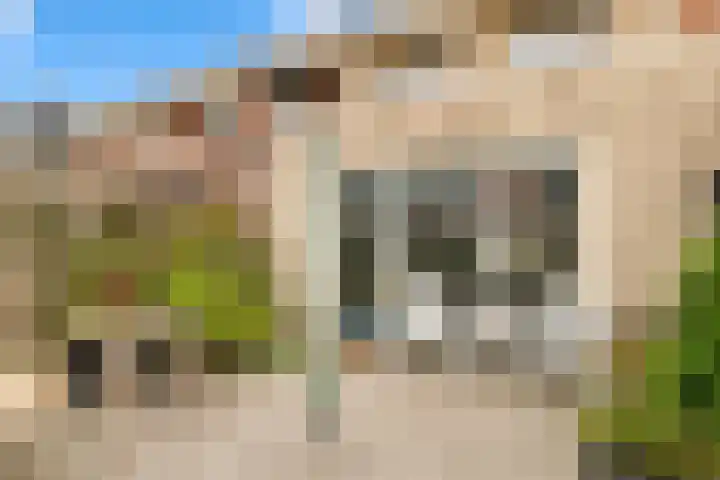 Paardenkamplaan 9 Uitgeest thumbnail 39