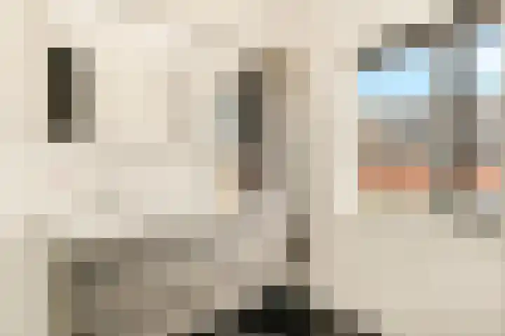 Paardenkamplaan 9 Uitgeest thumbnail 41