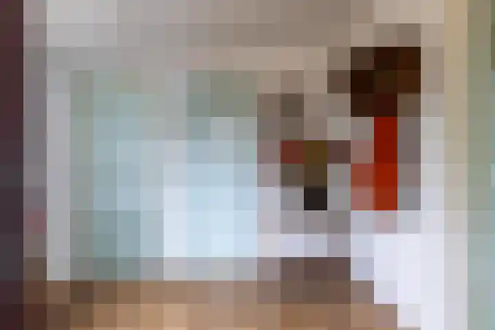 Paardenkop 12 Elst Ut thumbnail 10