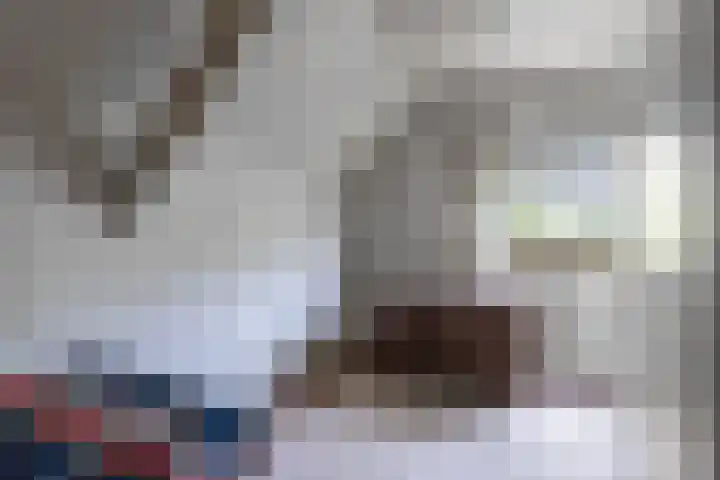 Paardenkop 12 Elst Ut thumbnail 12