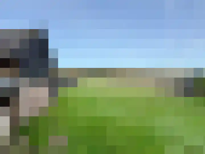 Paardenkop 12 Elst Ut thumbnail 20