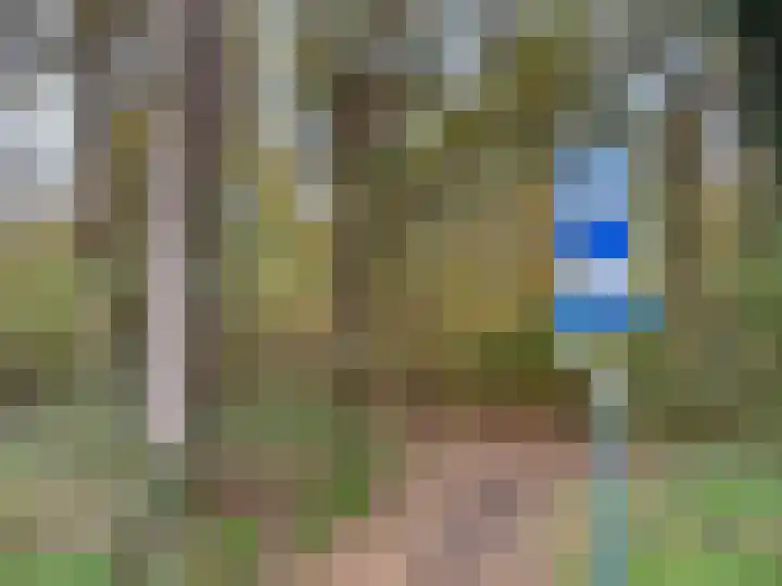 Paardenkop 12 Elst Ut thumbnail 21