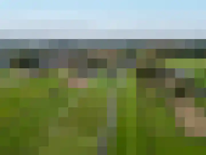 Paardenkop 12 Elst Ut thumbnail 4