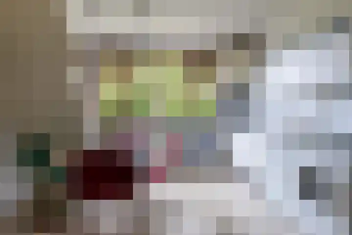 Paardenkop 12 Elst Ut thumbnail 9