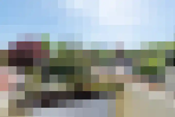 Paardenmarkt 10 Schoorl thumbnail 13