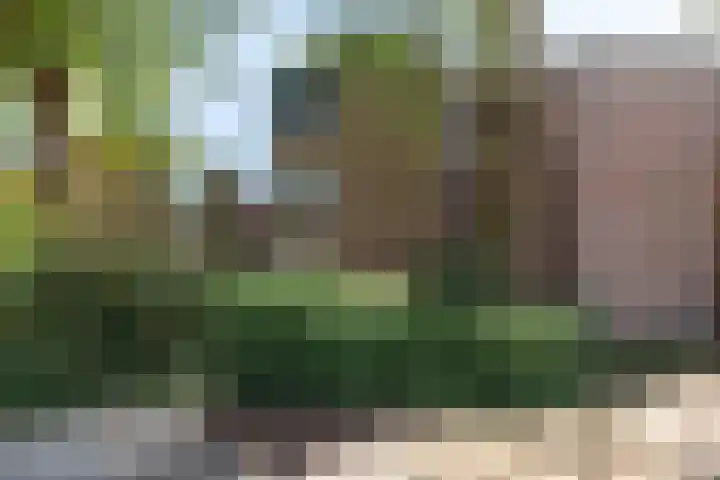 Paardenmarkt 10 Schoorl thumbnail 24