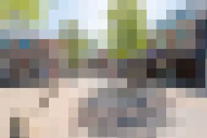 Paardenmarkt 10 Schoorl thumbnail 25
