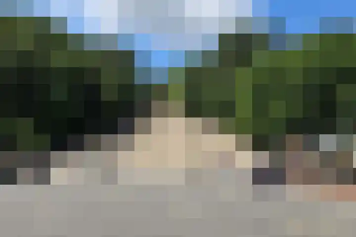 Paardenmarkt 10 Schoorl thumbnail 27