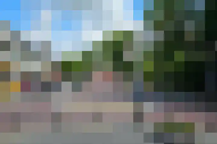 Paardenmarkt 10 Schoorl thumbnail 29