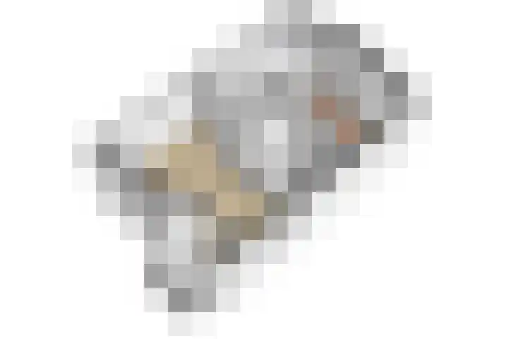 Paardenmarkt 10 Schoorl thumbnail 32