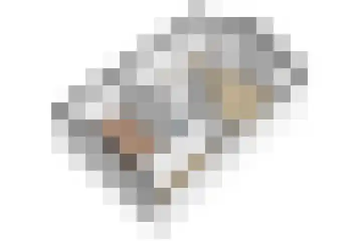 Paardenmarkt 10 Schoorl thumbnail 33