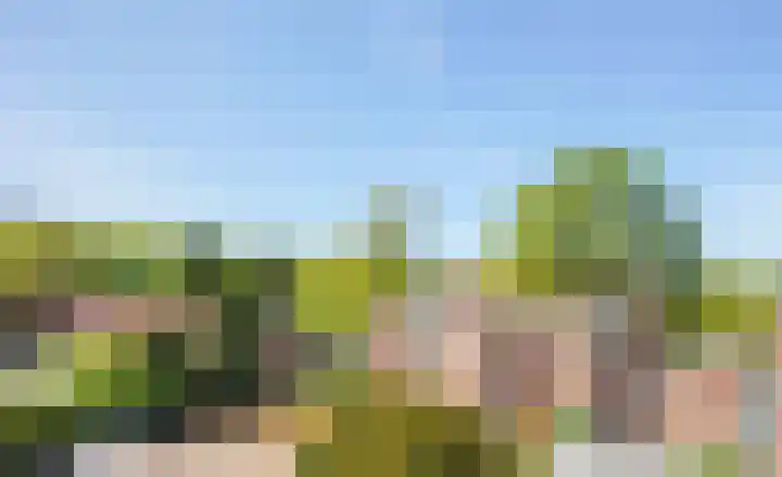 Paardenmarkt 10 Schoorl thumbnail 36