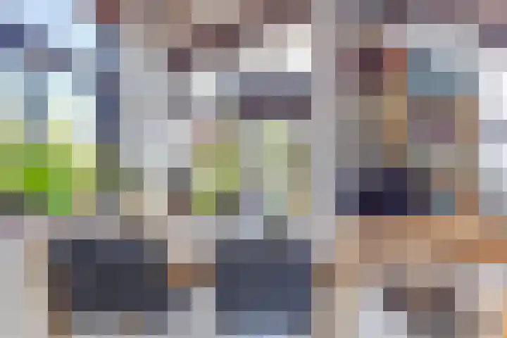 Paardenmarkt 10 Schoorl thumbnail 7