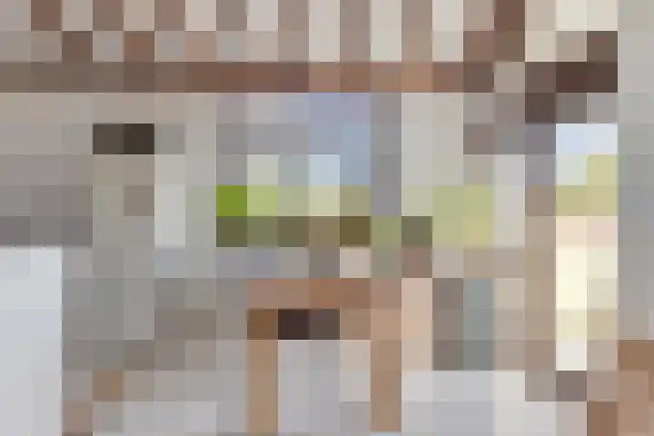 Paardenmarkt 10 Schoorl thumbnail 8