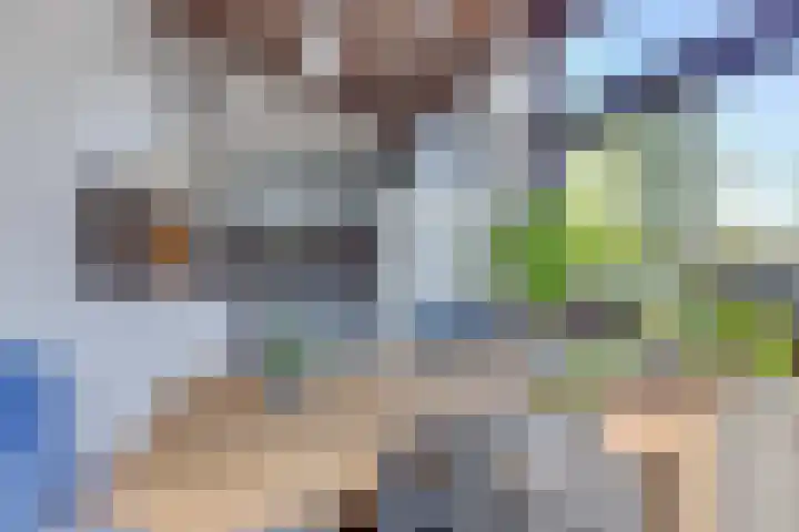 Paardenmarkt 10 Schoorl thumbnail 9