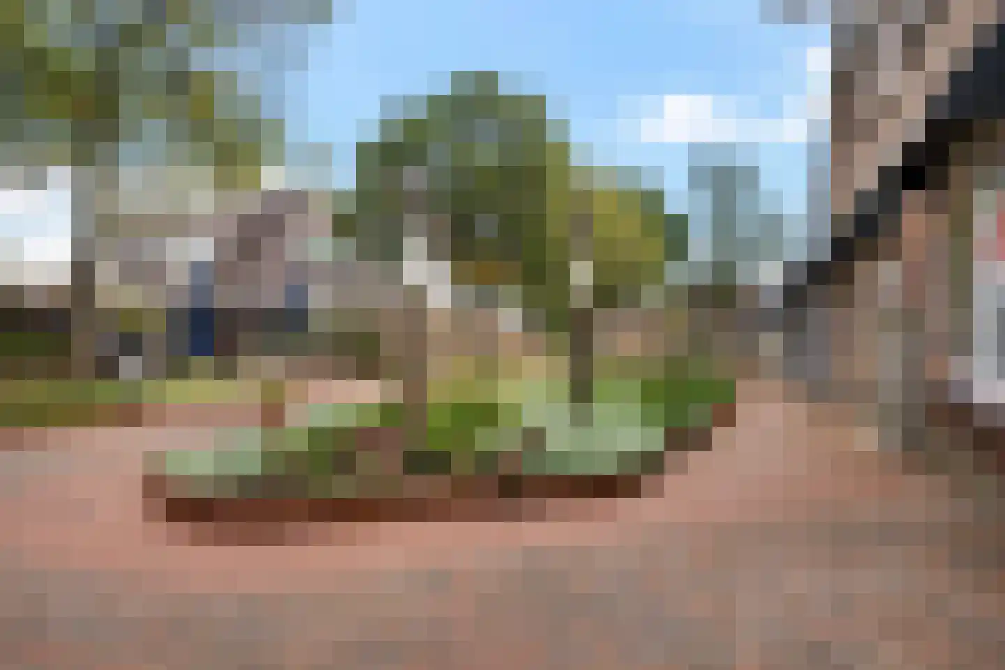 Paardenmarkt 15 Schoorl thumbnail 27